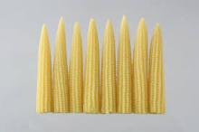 Frozen Baby Corn For Sale