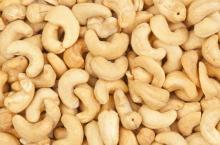 Raw cashew nuts/ Cashew Kernels/ WW320/450/240/LBW/LP/WSLP/DW