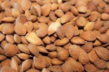 Organic Bitter Apricot Kernel