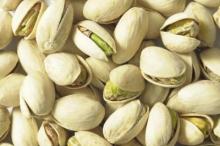 Pistachio  Nuts  /Pistachio Nut Kernel