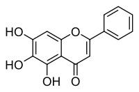 Baicalein CAS No. 491-67-8
