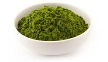 High Quality Green Barley Grass Powder