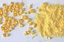 Yellow Corn Powder ,Maize for Animal Feed