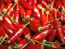 Top Quality Fresh/Dried Chili/Red  Pepper   hot  for sale