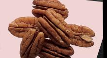 Grade A Premium Quality Pecan Nuts