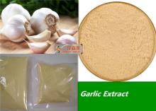 Bulk Organic Dehydrated Garlic Powder