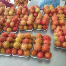 Rambutan