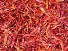 Dried Chilli (stem/ stemless)
