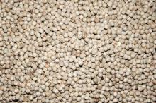 WHITE PEPPER (DOUBLE WASHED) 600 G/L, 630 G/L
