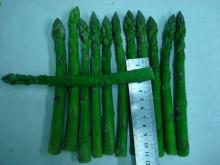 Canned asparagus brands dried roots white asparagus