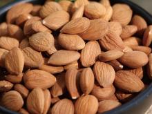 Sweet  Apricot   kernels 