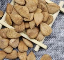 LONGWANG Sweet Apricot kernels