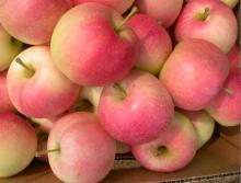fresh green and red gala apple