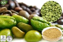 Losing Weight Total Chlorogenic Acids 50% Green Coffee Bean Extract