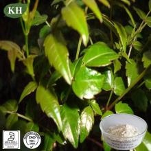 Vine Tea Extract Dihydromyricetin 80%-98% Protecting liver