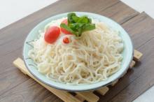 konjac shirataki noodles where to buy