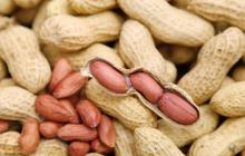 Raw Peanuts Kernel/raw peanut in shell