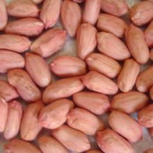 BOLD PEANUTS KERNELS