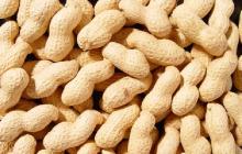 Peanuts In Shell