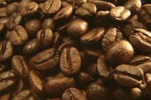  Robusta   Coffee   Beans 
