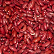 Red Kidney Beans Long Shape