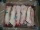 Grade A  frozen   pork   feet 