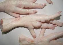 Frozen Whole Chicken, Chicken Feet, Wings, Legs