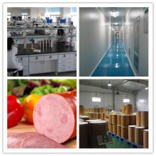 Nisin natural food preservative, China top brand, 500 ton per year