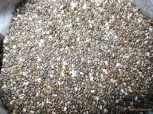 Chia Seeds - 99.95% for sale