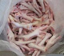 High Quality Frozen Chicken Feet and for sale
