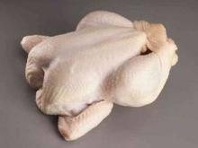 TOP Brazilian Quality Whole Frozen Chicken for sale