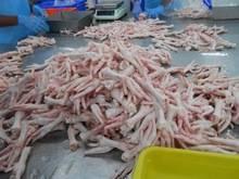 Whole Chicken and Parts / Gizzards / Thighs / Feet / for sale