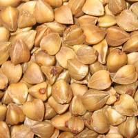 Milling Wheat, Feed Wheat, Buckwheat, Rye for sale