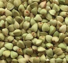  Hulled   Buckwheat   Kernel s for sale