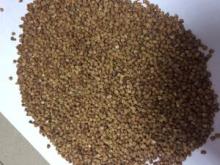 Wholesale Buckwheat Grain Price ,,