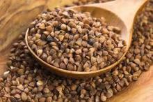Barley/ Buckwheat Yellow Corn Corn Oil Millet Oats for sale