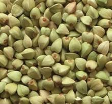 Buckwheat,Red  Millet , Green  Millet ,  Yellow   Millet  for sale
