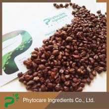 grape seed extract anti-fungal, anti-oxidation