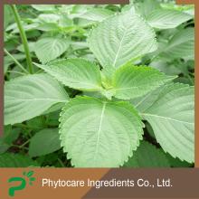 Perilla seed oil omega