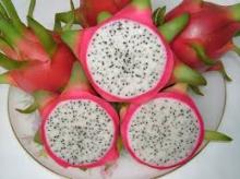 WHITE DRAGON FRUIT, COMPETITIVE PRICE FROM VIETNAM