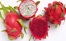 RED DRAGON FRUIT, COMPETITIVE PRICE FROM VIETNAM