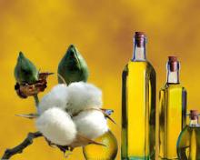 REFINED COTTON SEED   OIL 