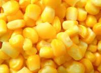 Top Quality Canned Sweet Corn