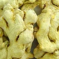 Yunnan  Dried   Ginger   Whole 