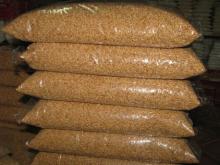 High Quality Semolina Wheat Soft/Durum Wheat