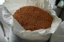  Peanuts   raw , shelled