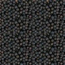 best quality black pepper seeds