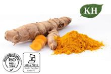 Natural Turmeric Extract Curcuminoid 10%~95% by HPLC