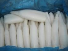 Frozen Giant Squid Tube