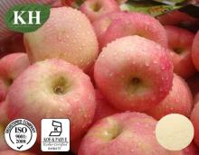 Food Additives Apple Pectin CAS: 9000-69-5